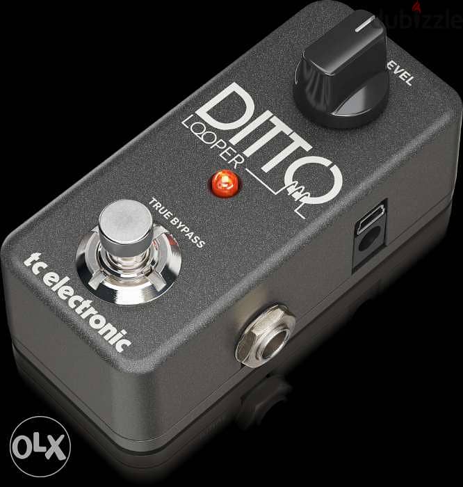 TC Electronic Ditto Looper Pedal,Compact looper pedal for guitar &Bass 4