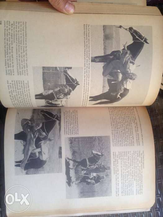 Western Horse Old book 1975 4