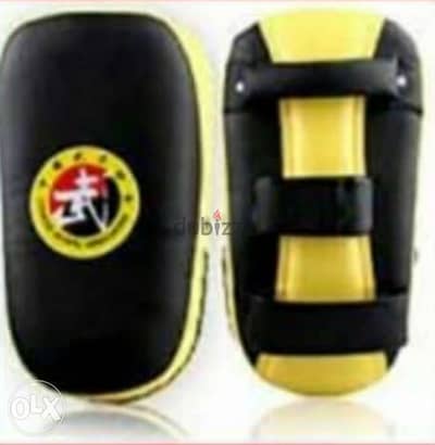 Kick boxing pad