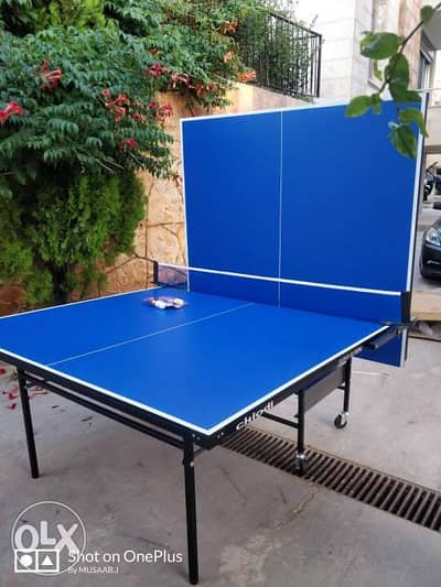 Ping pong table