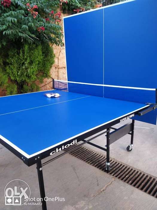 Ping pong table 1