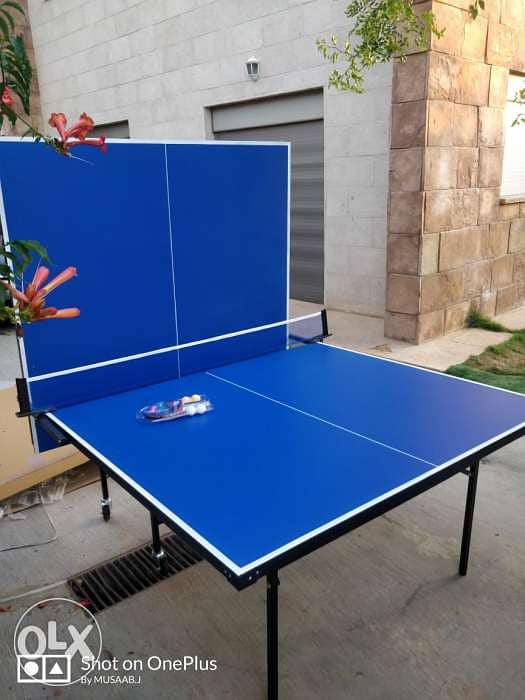 Ping pong table 2