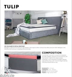 tulip mattress