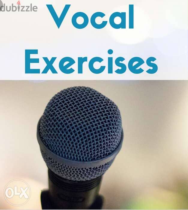 Singing and vocal private lessons and singing coaching 0