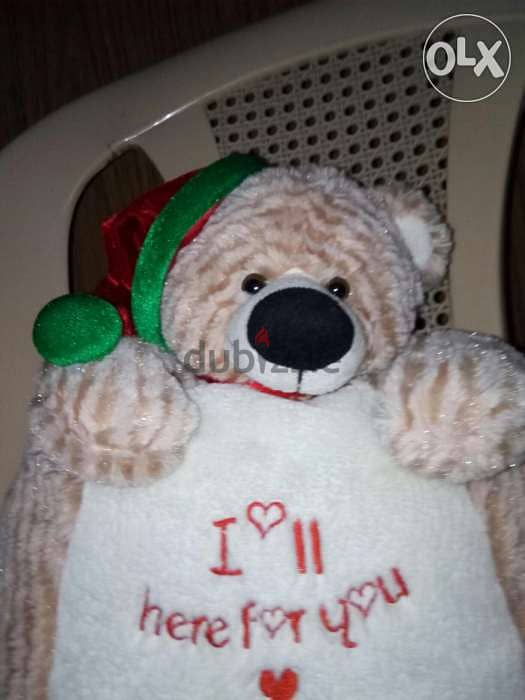 Teddy bear Pillow 2 in 1 Large toy 40 Cm +letter I'LL HERE FOR YOU=10$ 5