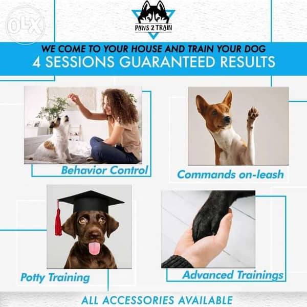 Dog trainer that comes to hot sale your house