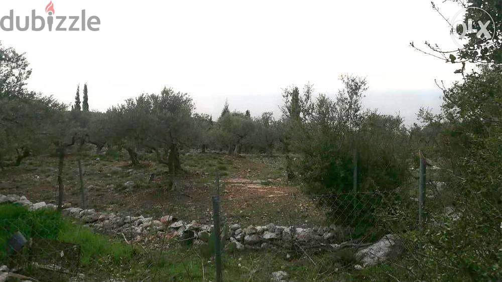 Mounsef | Land | 1 minute from highway | Open Sea View |PLS24951-2 1