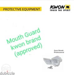 Mouth guard