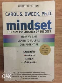 Mindset book 0