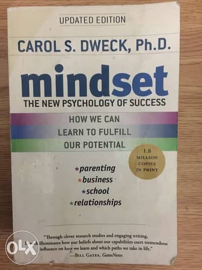 Mindset book