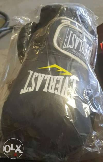 Martial arts gloves