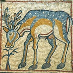 mosaic (غزال)