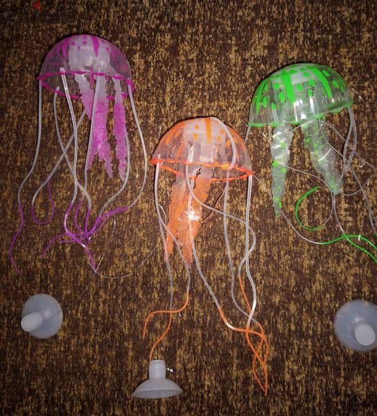 Magical luminous aquarium jellyfish 9