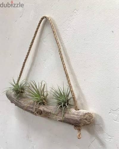 old natural wood garden wall pot