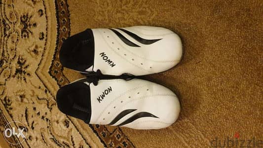 Taekwondo shoes