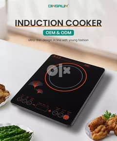 National Induction cooker only for stainless steel cooker