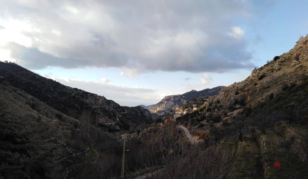 17410 Sqm | Land with Small House | Tannourine 1
