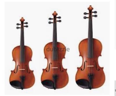 Violin