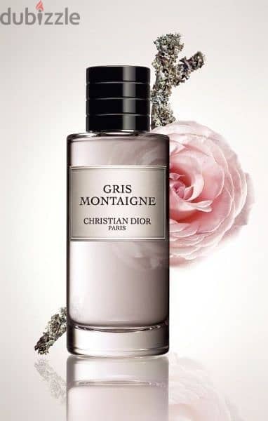 Gris Montaigne Christian Dior 2