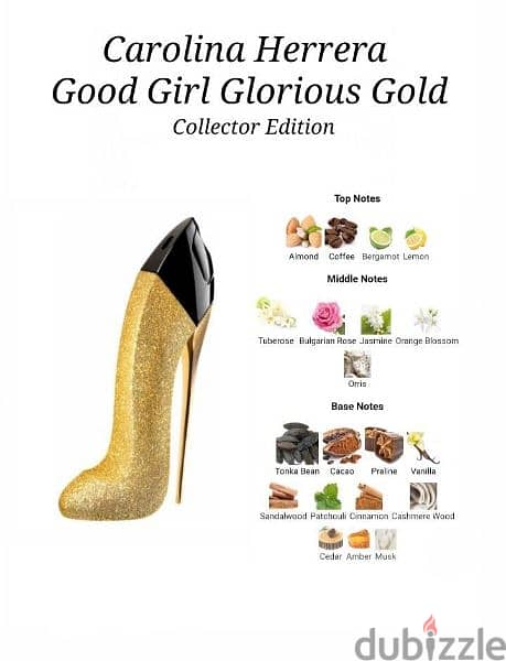 CH Good Girl Glorious Gold 2