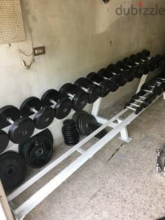 dumbells