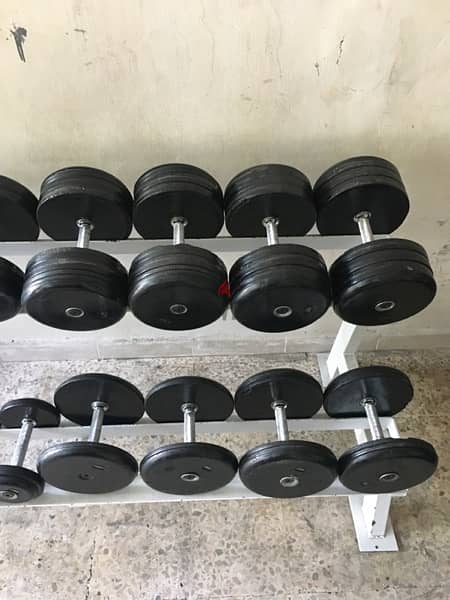 dumbells set from 2.5 kilo till 35 kilo 70/443573 RODGE 1