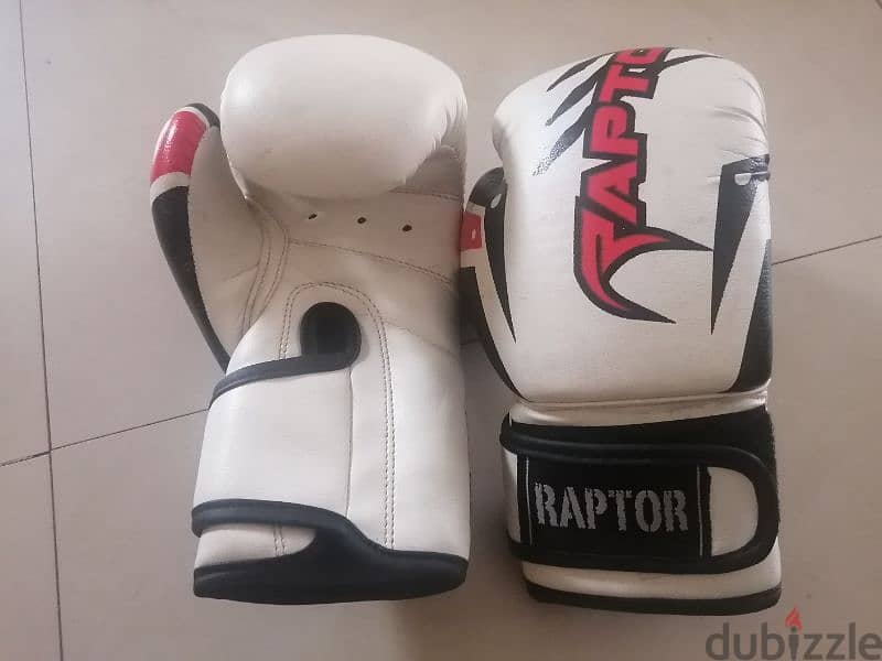 Original Raptor boxing gloves 6oz 0