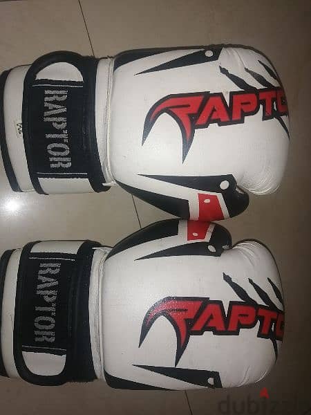 Original Raptor boxing gloves 6oz 1