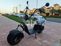 Electric Scooter for adult