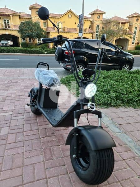 Electric Scooter for adult 1