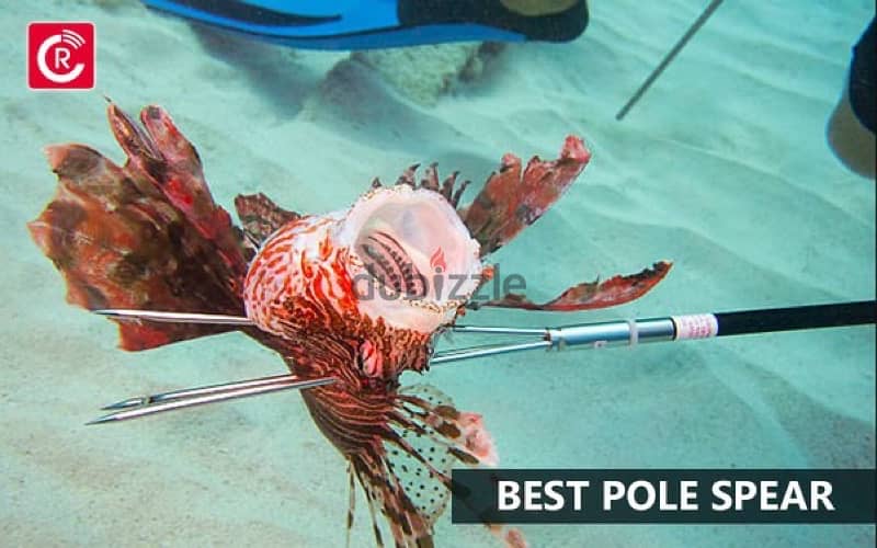 Lionfish pole spear scuba diving spearfishing polespear 1