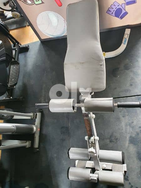 Hips extension machine with Bench Heavy-duty 03027072 GEO EQUIPMENTS 3