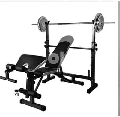 New homegym bench for chest legs biceps 03027072 GEO GYM AND SPORTS