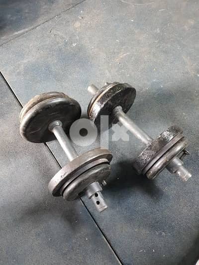 22 kg weights plus two axes for only 20 dollars