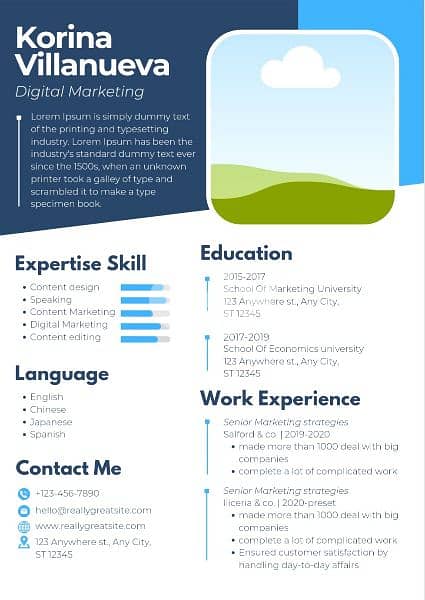 Resume Designer 1