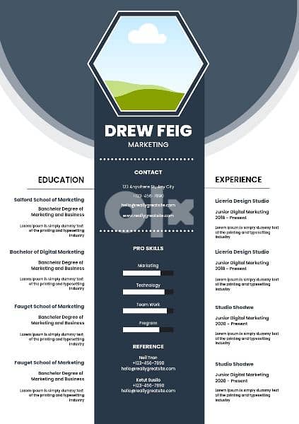 Resume Designer 2