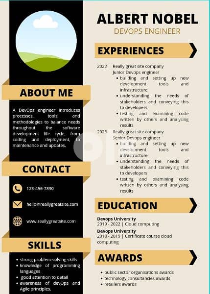 Resume Designer 5