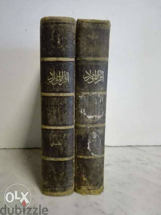 كتاب اقرب الموارد في فصح العربية و السوارد 1889 1