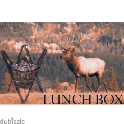 Camping lunchbox