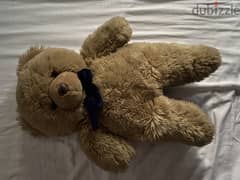Cuddly Teddy Bear needs a new home 0