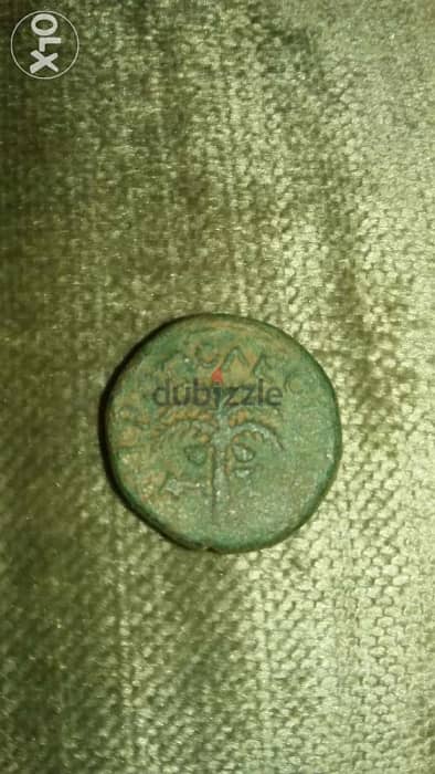 Jesus Christ Era King Herod Antipas Bronze Judea Coin year 30 AD 0