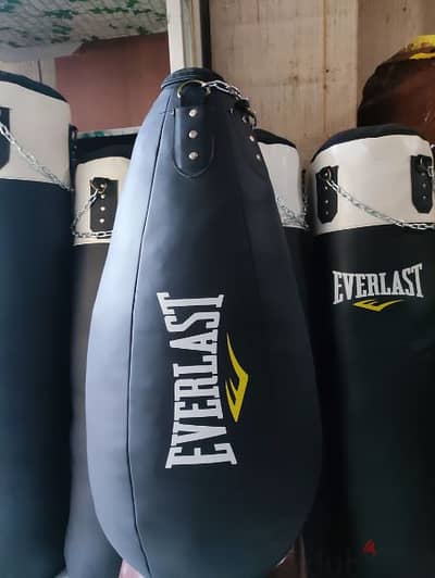 Everlast Tear Drop Punching Bag