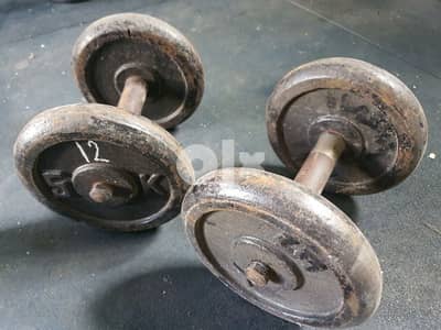 2 axes plus 20 kg weight plates only 25 dollar