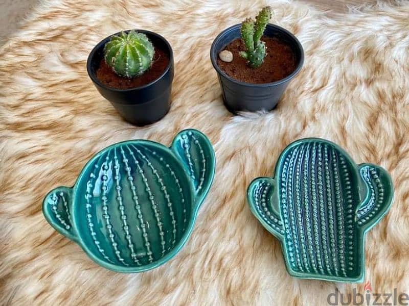 gorgeous cactus shape ceramic mini plates 1 for 3$ 1