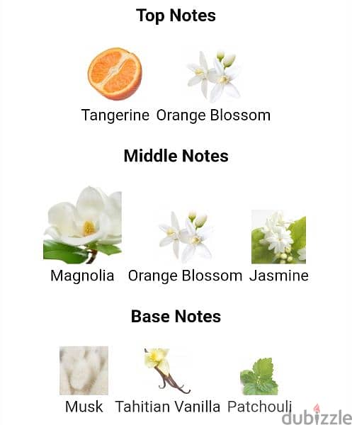 Bvlgari Splendida Magnolia Sensuel 3
