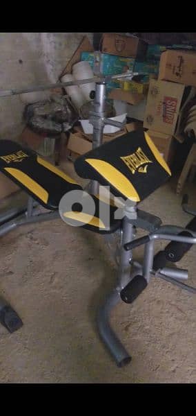 Everlast pro Bench with rack and biceps stand and Grip 03027072