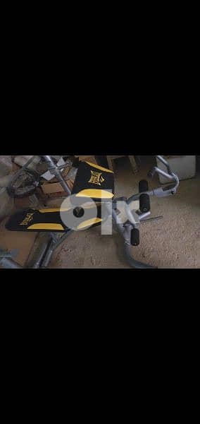 Everlast pro Bench with rack and biceps stand and Grip 03027072 1