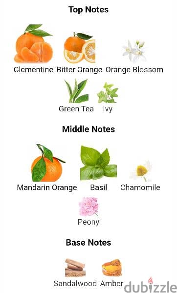 Guerlain Mandarine Basilic 5