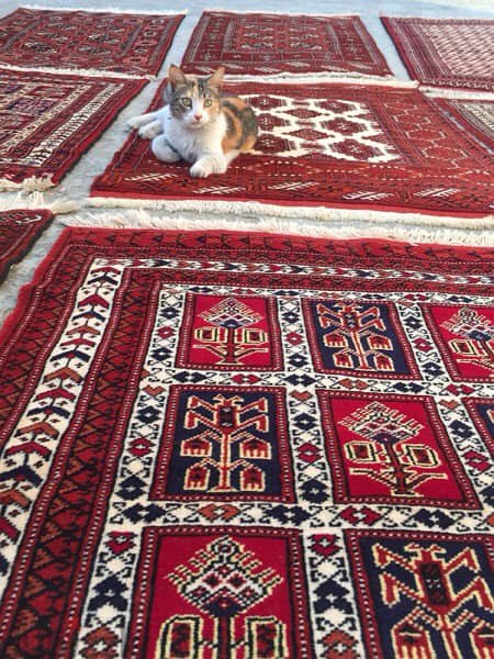 سجادة عجمية. شغل يدوي صوف. Hand made. Persian Carpet. Tapis 8