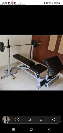 BODYSYSTEM Adjustable bench with buceps kitt 03027072 GEO SPORTS